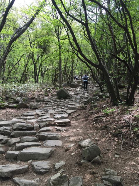 guide de voyage buk gu|Gwangju Travel Guide: What To Do And Must.